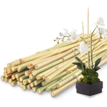 CHEOAR 58cm/30pcs Bamboo Sticks For Plants-Bamboo Canes,Garden Bamboo Canes Strong Heavy Duty Bamboo Plant Support Garden Canes Poles for Tomato Vege