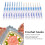 Crochet Hooks Set 16pcs - Ergonomic Portable & Elegant Design 4