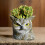 Multipurpose Owl Silicone Mold Planter Molds Silicone Texture 4