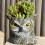 Multipurpose Owl Silicone Mold Planter Molds Silicone Texture 5