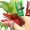 Efficient Vegetable Harvesting Tool Fruit Picking Knife-5 red 5