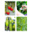 Efficient Vegetable Harvesting Tool Fruit Picking Knife-5 red 6