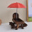 Squirrels Mouses Feeding Table Cage-log color Without umbrella 7