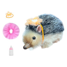 5inch Silicone Soft Reborns Hedgehogs Dolls Realistic-Style 2