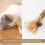 Silvervine Sticks, τα παιχνίδια Catnip που προσφέρουν ανακούφιση από το πεπτικό σύστημα και 5