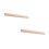 2Pcs Wooden Cylindrical Document Tubes Secure Poster Shipping Storage 4