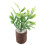 5Stk Plastik Pflanzen Bunt Mini Accessoire 3