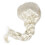 Beautiful Adult Wig light gold Braid Dressing 1