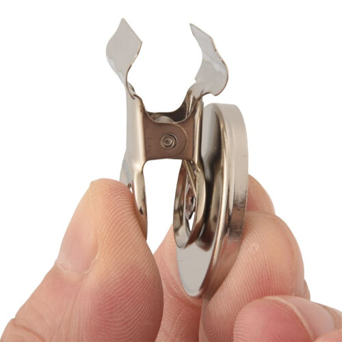 5pcs 3cm Magnetic Clip Magnet Refrigerator Wall Memo Note Message Holder Silver 1
