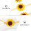 40Stk Party Cupcake Wrapper Mit Sonnenblumenmuster, Goldene 8