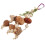 3Ud De Forrajeo De Madera Para Pájaros Colgantes Multicolor 10