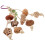 3Ud De Forrajeo De Madera Para Pájaros Colgantes Multicolor 3