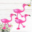 3pcs Take A Bath Swimming Pool Baby 10