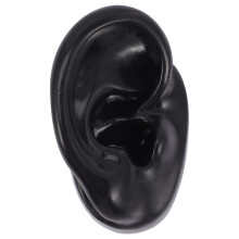 3pcs Artificial Ear Mold Ear Acupuncture Body 3d