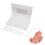 120Pz Tip Estensione Unghie Trasparente Con Linee Dual 9