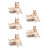 5Conjuntos Banheira Transparente Para Hamster Com Abs+ 2