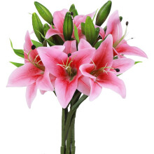 Real Touch Artificial Tiger Lily for Home Wedding Party Decor, Vibrant Eco-Friendly Latex Flowers, Pack of 5, Flexible Stem for Creative Arrangements