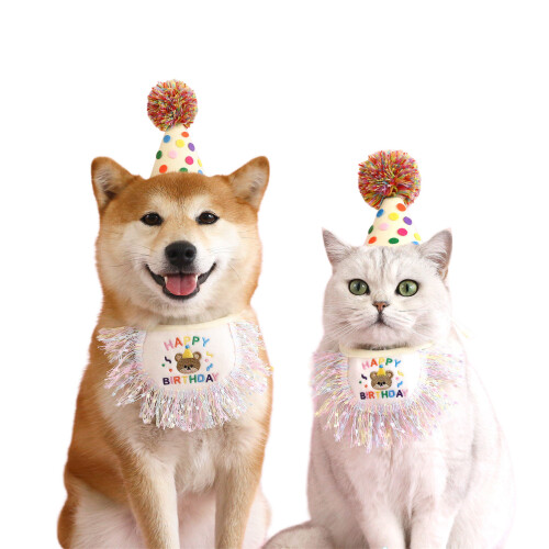 Chapeau d'anniversaire pour petits animaux de compagnie,-S 2