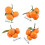 Artificial Tangerine Fruit Simulation Tangerine-6 oranges 4