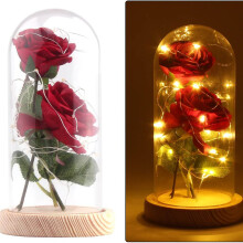 Preserved Rose, Shapeable Copper Wire Led String, Romantic Home Decor With 2pcs Red Silk Rose In Glass Dome For Wedding, Valentine'S Day, Anniversary