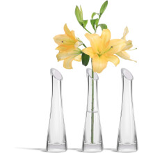 Refined Acrylic Vase, Crystal Clear, Compact Size, Durable Acrylic Plastic, Break-Resistant, Versatile Applications, Clear Concaved Hurricane Glass,