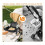 Universal Stroller Snack Tray Attachment with Dust Cover Sturdy Stroller Cup Snack Holder Clamp 3