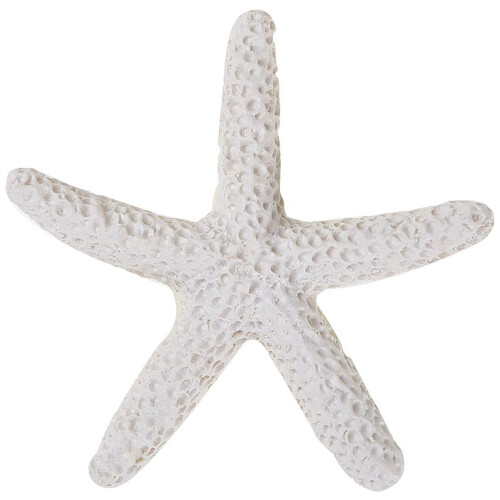 60 Pièces Étoile de Mer de Doigt Crayon Blanc-Crème pour la Décoration de Mariage 2