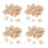 Small Starfish Star Sea Shell Beach  0.4 Inch-1.2 Inch 360 Pcs 1