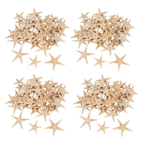 Small Starfish Star Sea Shell Beach  0.4 Inch-1.2 Inch 360 Pcs