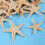 Small Starfish Star Sea Shell Beach  0.4 Inch-1.2 Inch 360 Pcs 9