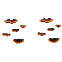Set of 10 Mushroom Shelf Wall Decor Small Wall Shelf for Bedroom Resin Mushroom Decor Floating Shelves Corner Wall Decor
