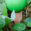 4Pcs Self Watering Planter Insert Terracotta Watering Spikes 4