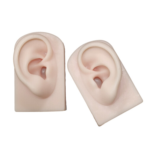 Realistic Soft Silicone Left Right Ear Model-pale yellow