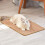 Cozy Cat Companion, Αντιολισθητικό Χαλί Ξυσίματος, Αυτοκόλλητη Ταινία με Γάντζο για 7