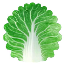 Soft Cabbage Blanket Funny Novelty Blanket 85x85cm