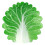 Soft Cabbage Blanket Funny Novelty Blanket 120x120cm 1