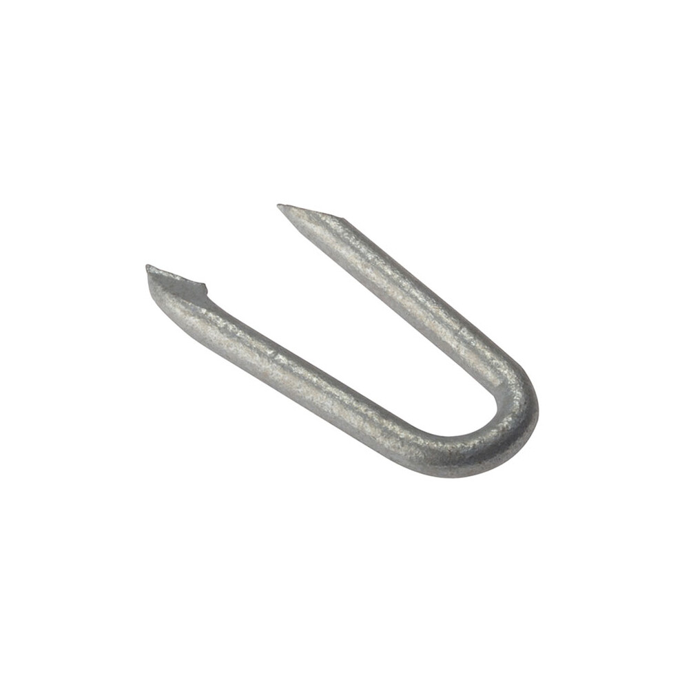 Forge 250NLNS15GB Netting Staple Galvanised 15mm Bag Weight 250g