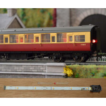 Automatic Coach Lighting Cool White/Flickering Tail