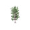 Hornby Hornby R7210 Lime Tree OO Gauge 1
