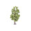 Hornby Hornby R7223 Lime Tree OO Gauge 1