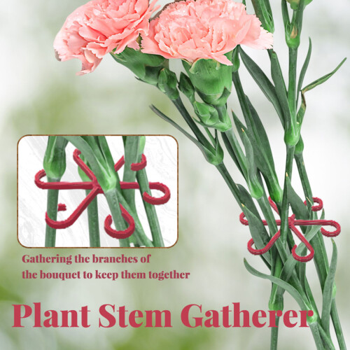 Practical Stem Support Perfect Tool for Gardeners and-Black 1