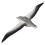 EUGY 3D Royal Albatross No.097 Model Craft Kit 3