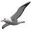EUGY 3D Royal Albatross No.097 Model Craft Kit 2