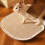 Multi-Layer Reusable Cat Litter Mat, 49.5x39cm, Spill-Proof Blue 7