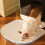 Multi-Layer Reusable Cat Litter Mat, 49.5x39cm, Spill-Proof Blue 4
