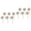 12St Ivory Aromatherapie Rattan Sticks Bloemvorm Diffuser Decoratie 4