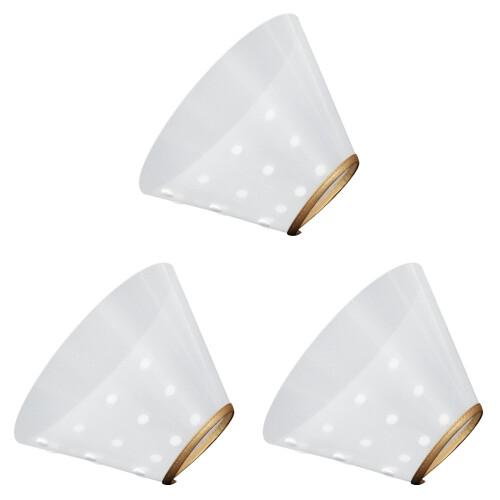 3Ud Collar Ajustable Dorado Para Recuperación Y Protección De 2