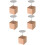5Sets Natural Wood Flower Nail Display Base Baking Tool for Home Use 8