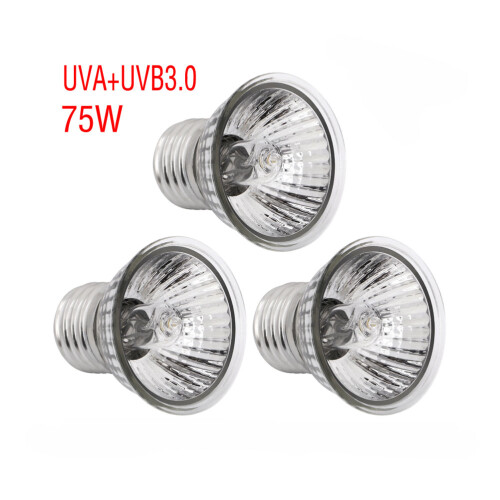 2Pz Solare Argento Per Rettili Per Climbing E Basking