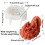 Einzigartige Silikonform,-Haltendes Engelsbaby m 6
